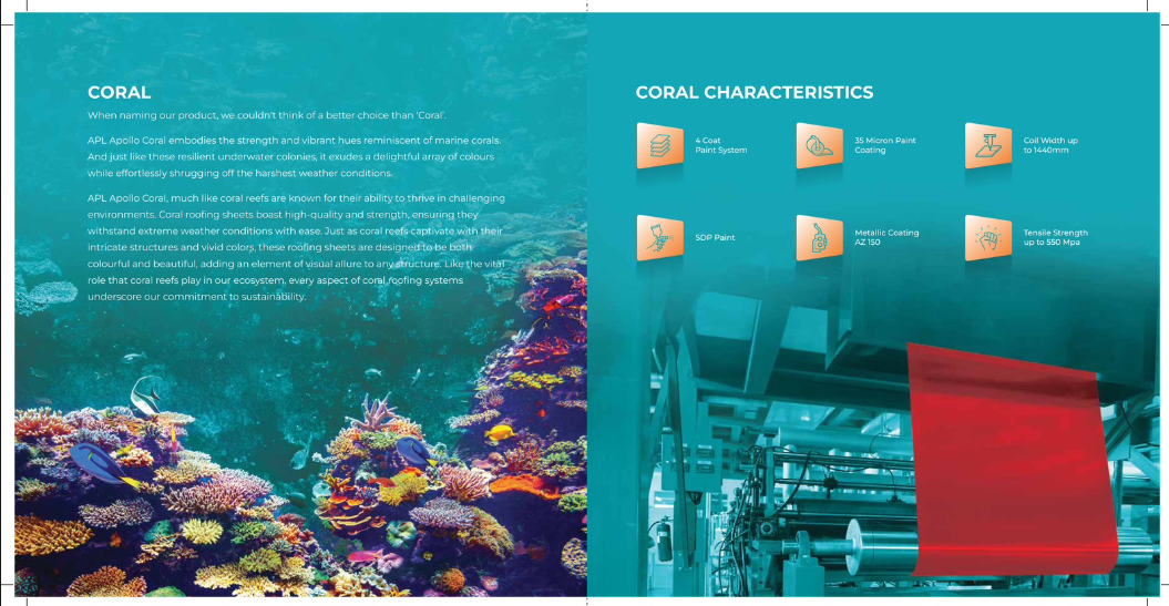Apollo Coral view 5